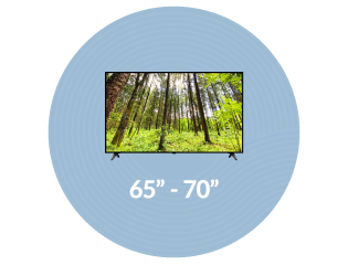 65" to 70" Smart TVs