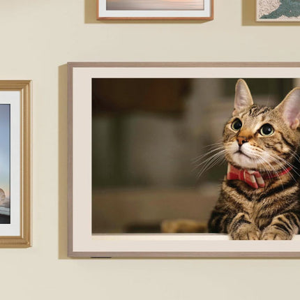 Hisense 55 Inch Class S7 144Hz Canvas TV 4K QLED Google TV 55S7N