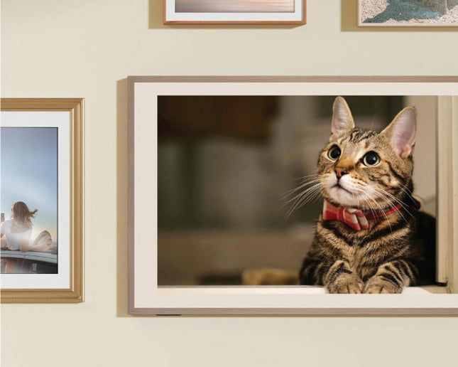 Hisense 55 Inch Class S7 144Hz Canvas TV 4K QLED Google TV 55S7N