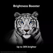 LG 65-Inch C3 OLED evo 4K Smart TV OLED65C3PUA Brightness Booster