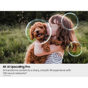 Samsung 50-Inch QN90F Neo QLED 4K QN50QN90FAFXZA detail
